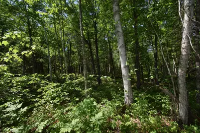29093 Deerpath Pass, Danbury, WI 54830 - Photo 43