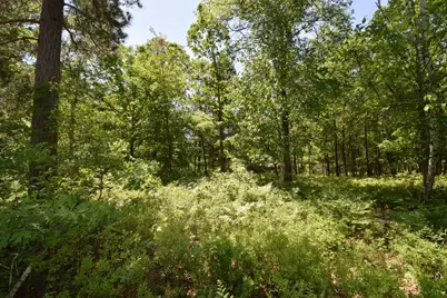 29093 Deerpath Pass, Danbury, WI 54830 - Photo 73