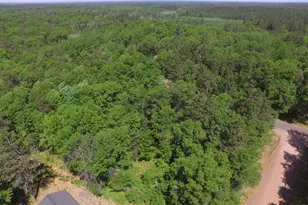 29093 Deerpath Pass, Danbury, WI 54830 - Photo 79