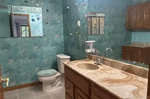 30204 118th St NW, Princeton, MN 55371 - Photo 33