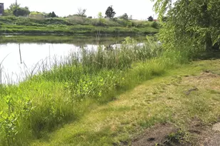 11304 Aberdeen Cir NE, Blaine, MN 55449 - Photo 29