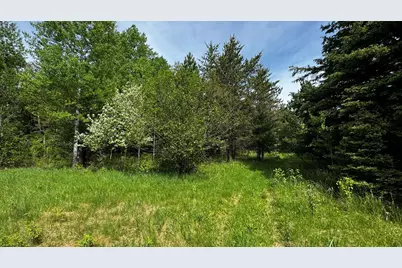 Tbd-B Hwy 169, Virginia, MN 55792 - Photo 11