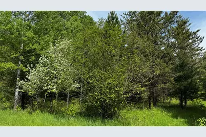 Tbd-B Hwy 169, Virginia, MN 55792 - Photo 9