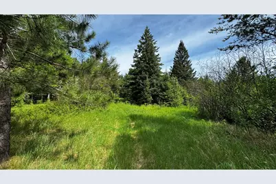 Tbd-B Hwy 169, Virginia, MN 55792 - Photo 7
