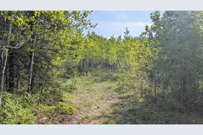 7573 Thumbnail Drive, Embarrass, MN 55732 - Photo 3