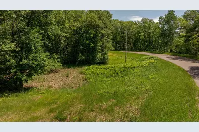 Tbd Tract N Peony Avenue, Aitkin, MN 56431 - Photo 3