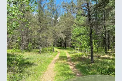 Tbd County 109, Menahga, MN 56464 - Photo 3