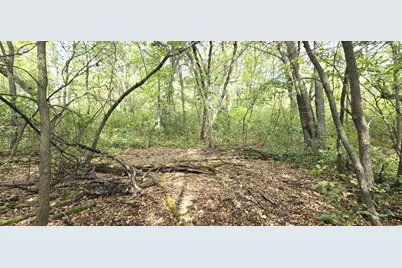 Parcel Tbd 250th Street, Mahnomen, MN 56557 - Photo 3