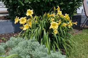 20349 200th St, Glenwood, MN 56334 - Photo 57