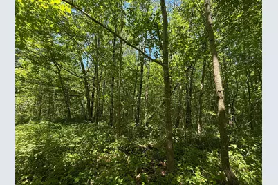 Tbd Sandhill Crane Ln, Pine City, MN 55063 - Photo 27