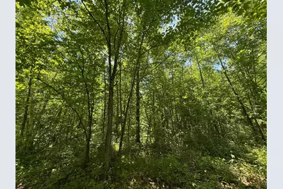 Tbd Sandhill Crane Ln, Pine City, MN 55063 - Photo 7