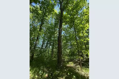 Tbd Sandhill Crane Ln, Pine City, MN 55063 - Photo 19