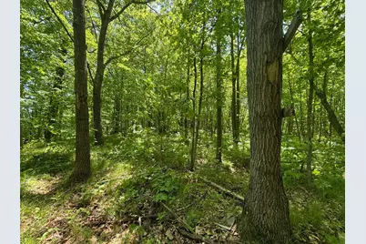 Tbd Sandhill Crane Ln, Pine City, MN 55063 - Photo 25