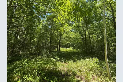 Tbd Sandhill Crane Ln, Pine City, MN 55063 - Photo 9
