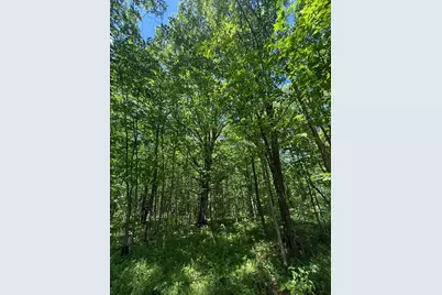 Tbd Sandhill Crane Ln, Pine City, MN 55063 - Photo 23