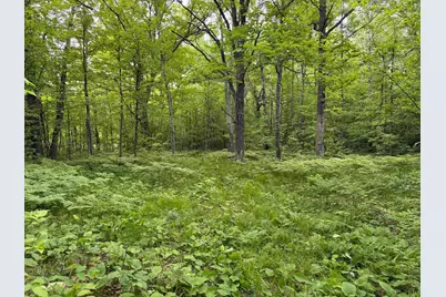 Tbd Sandhill Crane Ln, Pine City, MN 55063 - Photo 1