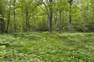 Tbd Sandhill Crane Ln, Pine City, MN 55063 - Photo 1