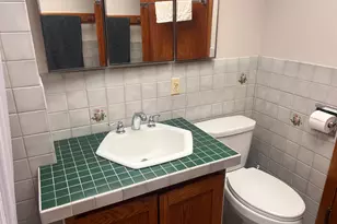 311 S Tyler St, Tyler, MN 56178 - Photo 21