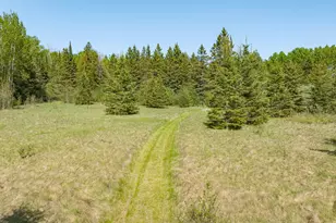 39186 State Hwy 65, Nashwauk, MN 55769 - Photo 19