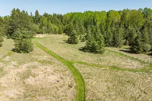 39186 State Hwy 65, Nashwauk, MN 55769 - Photo 15