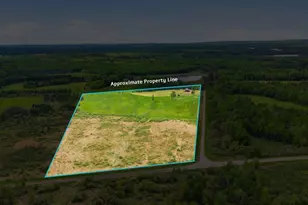 8932 Barnum Rd, Iron, MN 55751 - Photo 53