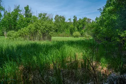 Tbd County Highway 47, Osage Township, MN 56570 - Photo 47