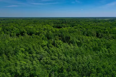 Tbd County Highway 47, Osage Township, MN 56570 - Photo 5