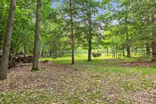 4508 Birchbark Trail N, Lake Elmo, MN 55042 - Photo 71