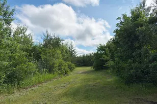 12207 110th St, Menahga, MN 56464 - Photo 47