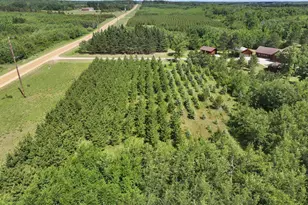 12207 110th St, Menahga, MN 56464 - Photo 57
