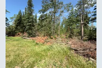 51215 Wildwood Road, Cass Lake, MN 56633 - Photo 3