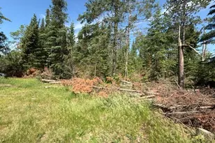 51215 Wildwood Rd, Cass Lake, MN 56633 - Photo 3