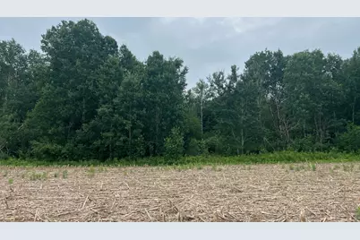 Tbd (Lot 2) Hemingway Avenue, North Branch, MN 55056 - Photo 3