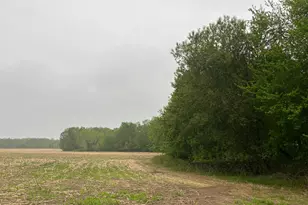 Tbd (Lot 4) Hemingway Ave, North Branch, MN 55056 - Photo 1