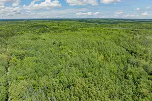 67488 Busties Lake Access, Effie, MN 56639 - Photo 33