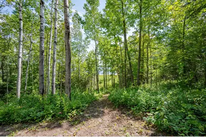 67488 Busties Lake Access, Effie, MN 56639 - Photo 41