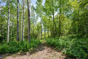 67488 Busties Lake Access, Effie, MN 56639 - Photo 41