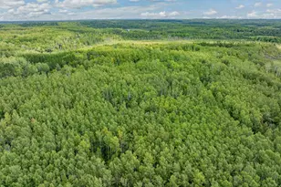 67488 Busties Lake Access, Effie, MN 56639 - Photo 31
