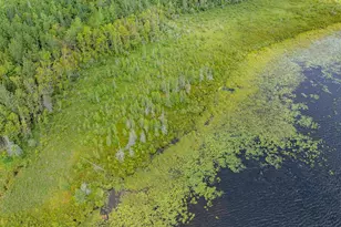 67488 Busties Lake Access, Effie, MN 56639 - Photo 29