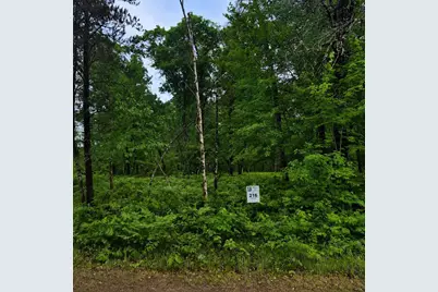 Lot 216 Deerpath Road, Danbury, WI 54830 - Photo 1