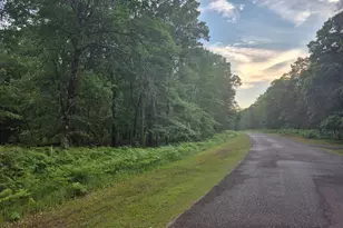 Lot 216 Deerpath Rd, Danbury, WI 54830 - Photo 3
