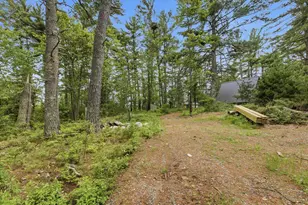 5298 Long Is, Tower, MN 55790 - Photo 33
