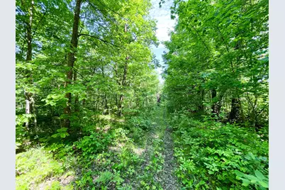 Tbd Hwy 92, Clearbrook, MN 56634 - Photo 45