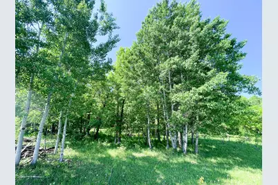 Tbd Hwy 92, Clearbrook, MN 56634 - Photo 37