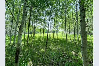 Tbd Hwy 92, Clearbrook, MN 56634 - Photo 61