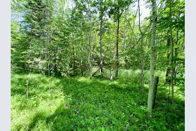 Tbd Hwy 92, Clearbrook, MN 56634 - Photo 49