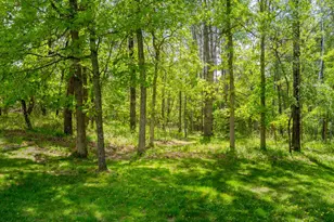 812 Spruce Grove Ln NW, Bemidji, MN 56601 - Photo 35