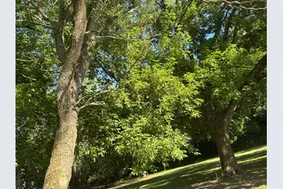175 6th Lane NE, Oronoco, MN 55960 - Photo 23