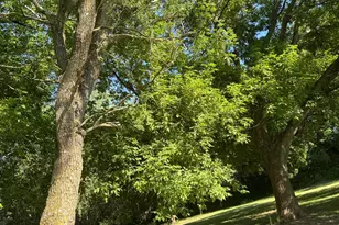 175 6th Ln NE, Oronoco, MN 55960 - Photo 23