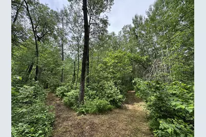 Tbd County Road 13, Nisswa, MN 56468 - Photo 5